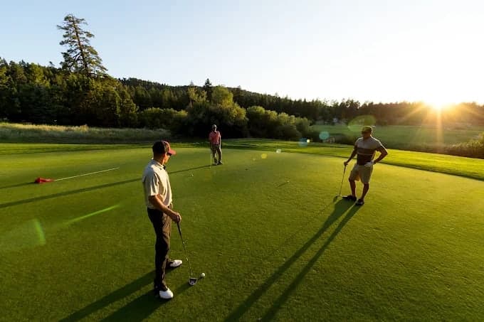 Golfers on the putting green at golden hour, ringed by ponderosa pines