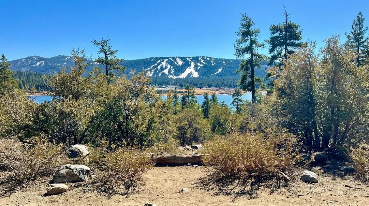 A view from the Woodland Interpretive Trail — dry woodland brush framing Big Bear Lake, snow-striped ski runs on the far shore
